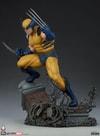 Wolverine View 28