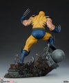 Wolverine View 26