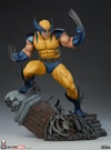 Wolverine View 23