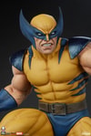 Wolverine View 20