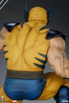 Wolverine View 2