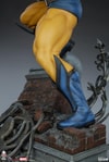 Wolverine View 13