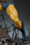Wolverine View 12