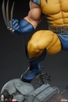 Wolverine View 11