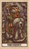 Labyrinth Tarot Deck and Guidebook View 3