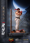 Ryu (Prototype Shown) View 17