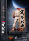 Ryu (Prototype Shown) View 26
