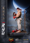 Ryu (Prototype Shown) View 25