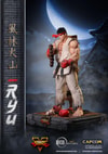 Ryu (Prototype Shown) View 24