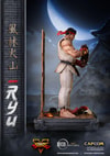 Ryu (Prototype Shown) View 22