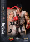 Ryu (Prototype Shown) View 20