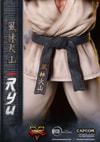 Ryu (Prototype Shown) View 19