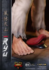 Ryu (Prototype Shown) View 16