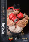 Ryu (Prototype Shown) View 2