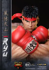 Ryu (Prototype Shown) View 15