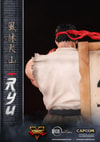 Ryu (Prototype Shown) View 8
