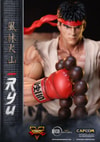 Ryu (Prototype Shown) View 7