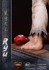 Ryu (Prototype Shown) View 5