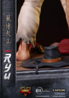 Ryu (Prototype Shown) View 4