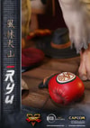 Ryu (Prototype Shown) View 32