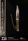Sarah Connor Collector Edition (Prototype Shown) View 18