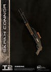 Sarah Connor Collector Edition (Prototype Shown) View 19