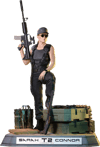 Sarah Connor Exclusive Edition (Prototype Shown) View 20