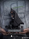 Luke Skywalker (Combat Version)