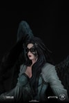 Raven