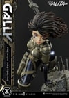 Alita “Gally”