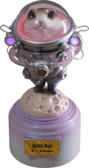 Space Hum (Silver) (Prototype Shown) View 17