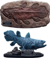 Coelacanth (Deluxe Version) (Prototype Shown) View 13