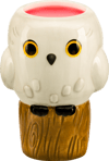 Hedwig- Prototype Shown