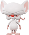 Brain