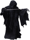 Nazgûl (Prototype Shown) View 28