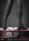Captain James T. Kirk- Prototype Shown