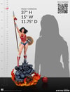 Wonder Woman (Prototype Shown) View 19