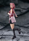 Sakura Haruno (Prototype Shown) View 2