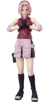 Sakura Haruno (Prototype Shown) View 6