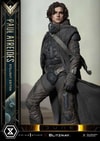 Paul Atreides (Stillsuit Edition) Collector Edition (Prototype Shown) View 3