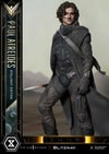 Paul Atreides (Stillsuit Edition) Collector Edition (Prototype Shown) View 15