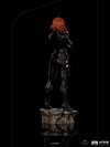 Black Widow (Battle of NY) (Prototype Shown) View 3