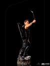 Hawkeye (Battle of NY) (Prototype Shown) View 4