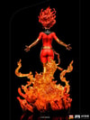Phoenix Collector Edition - Prototype Shown