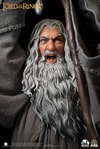 Gandalf the Grey (Premium Edition)