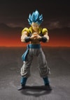 Super Saiyan God Super Saiyan Gogeta- Prototype Shown