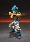 Super Saiyan God Super Saiyan Gogeta- Prototype Shown