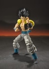 Super Saiyan God Super Saiyan Gogeta- Prototype Shown