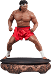 Bolo Yeung: Kung Fu Tribute
