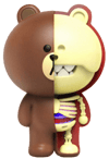 XXRAY PLUS: Brown- Prototype Shown